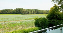 Bergbendenweg, 1.OG + Studio, See Nähe, Nr. 21 links