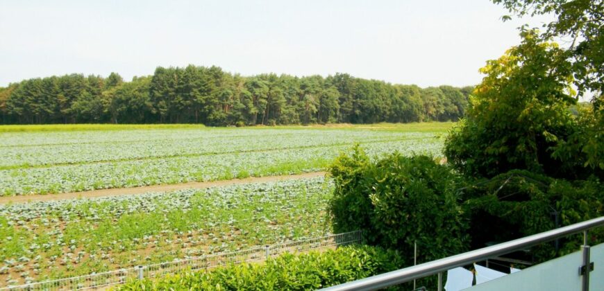 Bergbendenweg, 1.OG + Studio, See Nähe, Nr. 21 links